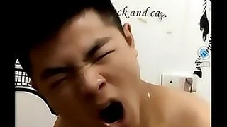 Gay TV 44